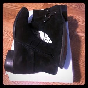 Steve Madden boots